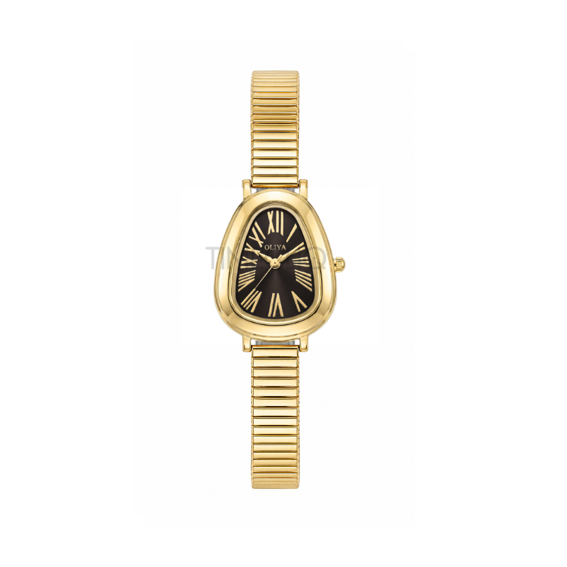 Oliya 2016S Women’s Retro Serpentine Band Gold Watch – Black Dial